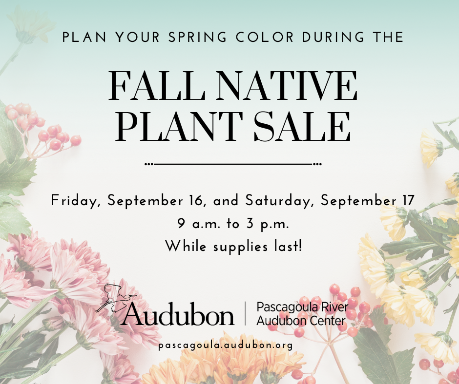 Native Plants Pascagoula River Audubon Center